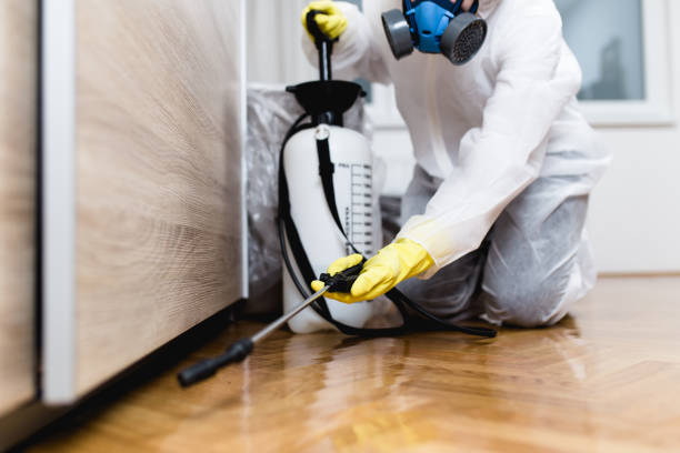 Best Flea Control Services  in Lawton, OK