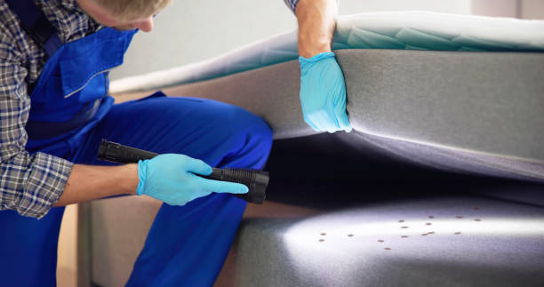Best Rat Extermination Near Me  in Lawton, OK