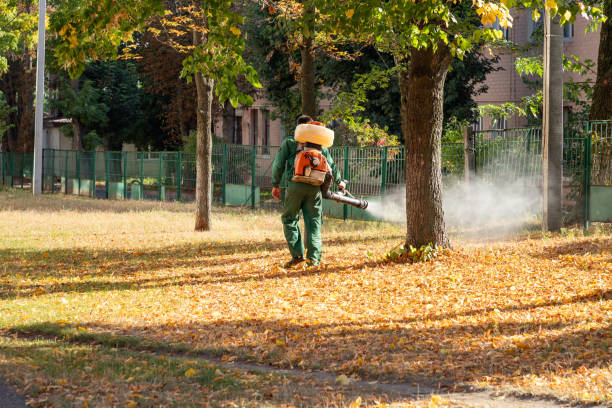 Best Best Pest Control Companies  in Lawton, OK