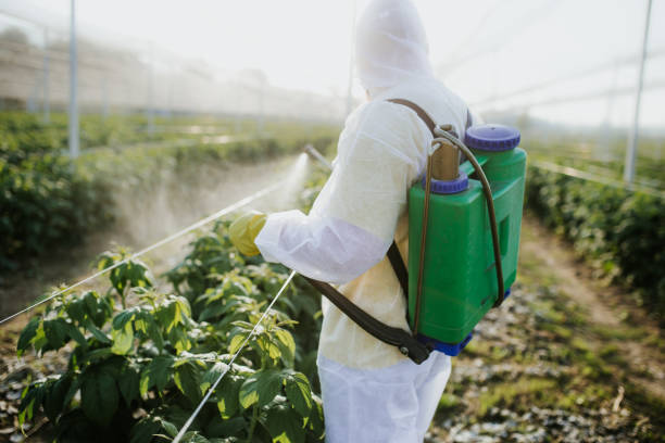 Flea Control Services in Lawton, OK